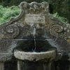 Fontanile nel bosco