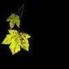 Luce nelle tenebre