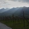 Luce particolare sul Roen