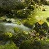 Torrente autunnale