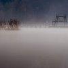 Nella nebbia