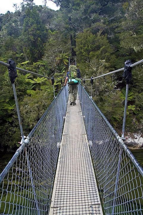 Ponte tibetano nell'Abel Tasman N.P.