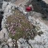 La mano dell'uomo sulla natura