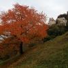 Autunno al castello