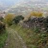 Sentiero verso Castelrotto