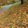 Autunno in Alto Adige