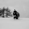 Nella neve