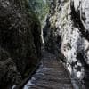 Passerella nel canyon