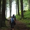 Camminatori nel bosco