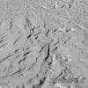 Disegni nella neve