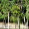 Riflessi