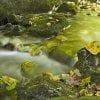 Torrente in autunno