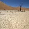 Deadvlei