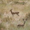 Vita nella savana