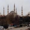 La moschea blu