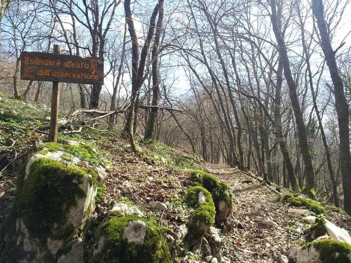 cammino-dell-arcangelo-20