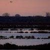 Alba sul delta del Pò