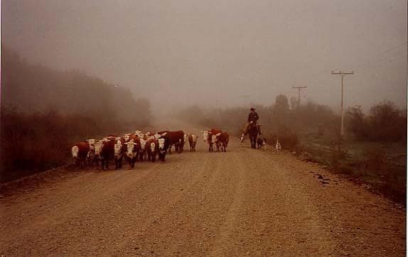 Gaucho patagonico