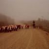 Gaucho sulla strada