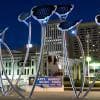 Adelaide in notturna
