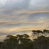 Lincoln National park