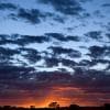 Alba nel Gibson desert