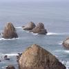 Kaka point