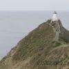 Il faro di Nugget point
