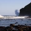 Onde a Curio Bay