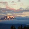 Tongariro N.P.