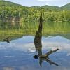 Riflessi sul lago