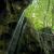 Articoli - Viaggi - Viaggi nel mondo - Plitvice 2005