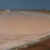 Saline