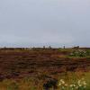Megaliti del ring of Brodgar