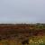 Megaliti del ring of Brodgar