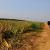 Articoli - Viaggi - Viaggi nel mondo - Sud-est asiatico 2010-11 - 10000 km