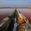 Saline rosate