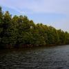 Fiume nei Cardamomi