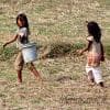Lavoro in campagna