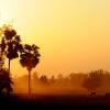 Tramonto tra le palme