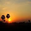Tramonto tropicale