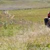 In bici nella savana