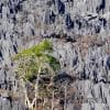 Formazioni carsiche verso Ban Na Him