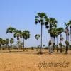 Campagna cambogiana
