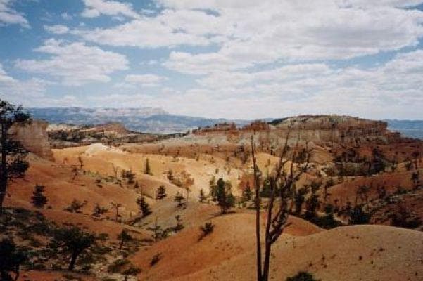 Bryce Canyon N.P.