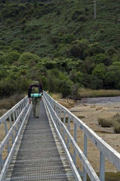 Trekking nell&#039;Abel Tasman