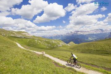 Allenamento Mountain Bike: come migliorare le prestazioni e la resistenza