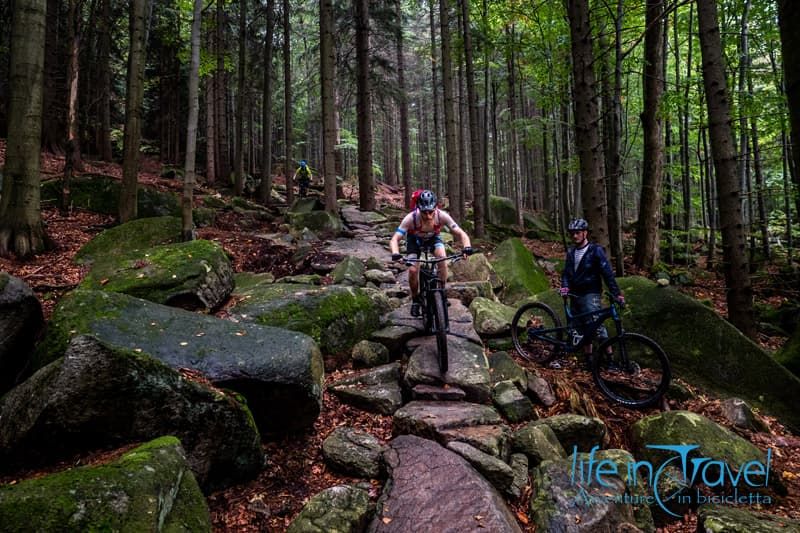 sítko velryba trail