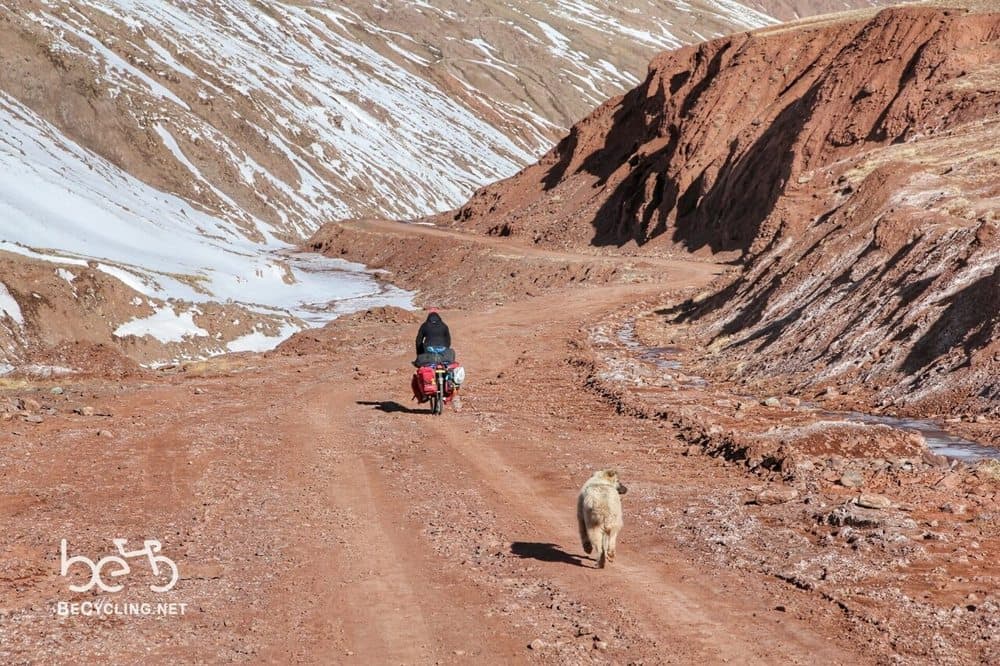 inseguiti himalaya