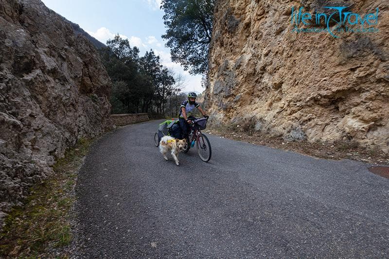 leo e nala in bici